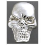 skull model 2