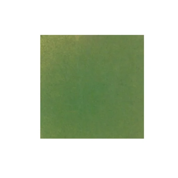 Transparent enamel powder - Soyer - Green 256 - image 2