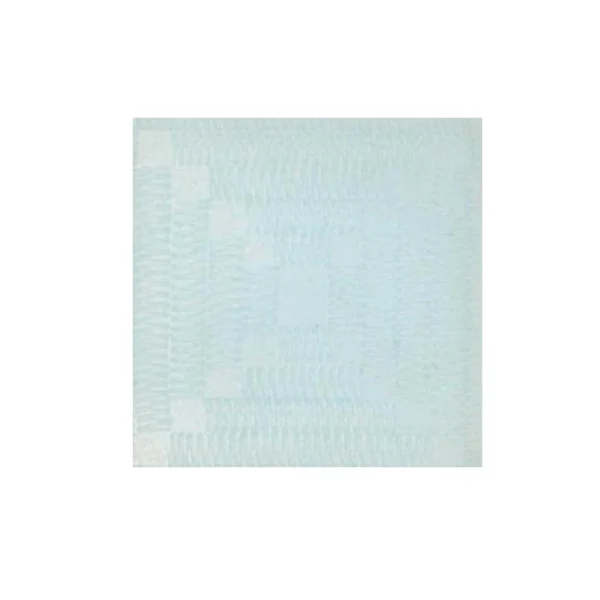 Pulbere email transparent – Soyer – Opal White 101