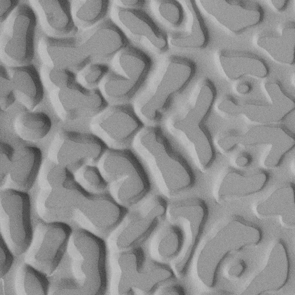 Textura mini - CoolTools - Jaguar Print - imagine 3