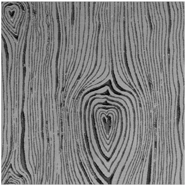 Textura mini - CoolTools - Woodgrain Love - imagine 2