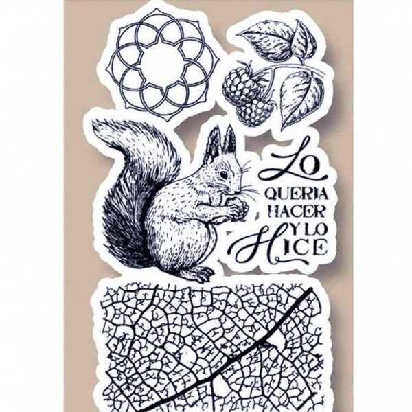 Set Stampile Squirrel - Stamperia - imagine 5