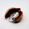 domed-ring-shell