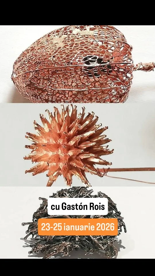 23 - 25 ianuarie 2026
Electroformare si Electroplacare in Bijuteria Contemporană cu Gastón Rois.
Data limita de inscriere 1 ianuarie 2026.
* Doar 5 locuri disponibile!
#electroforming #electroplacare #placareaur #placareargint