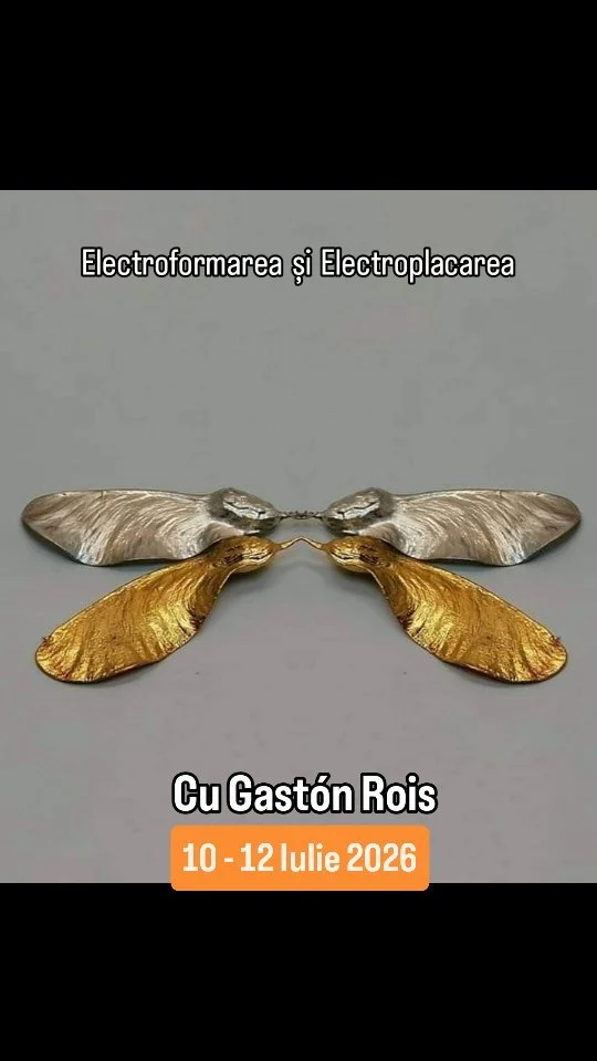 10 - 12 iulie 2026
Electroformare si Electroplacare in Bijuteria Contemporană cu Gastón Rois.
Data limita de inscriere 1 iunie 2026.
* Înscrierile sunt disponibile pe artkimia.com
#electroforming #electroplacare #placareaur #placareargint